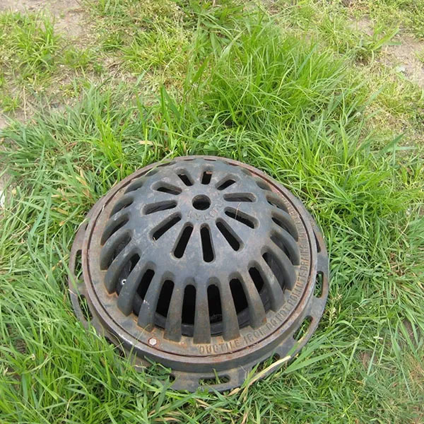 Dome-shaped storm drain inlet surrounded by grass